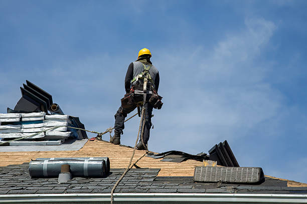 Professional Gutter Installation technician working in Leesville, TX